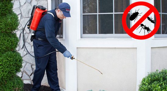 Doğanyurt Dezenfeksiyon böcek ilaçlama ve haşere kontrolü — ilaclama-tr.com